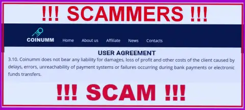 Coinumm Com scammers aren't liable for client losses
