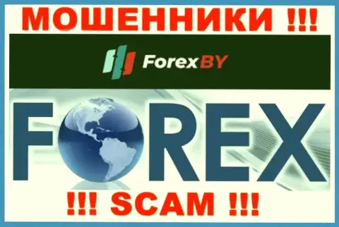 Будьте осторожны, сфера работы Forex BY, Forex - это надувательство !