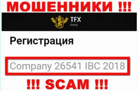 Номер регистрации, который принадлежит преступно действующей организации TFXGroup : 26541 IBC 2018