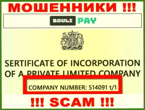 Регистрационный номер Bouli Pay может быть и фейковый - 514091 t/1