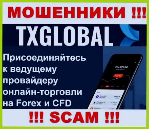 В Интернете действуют мошенники TXGlobal Com, направление деятельности которых - Форекс