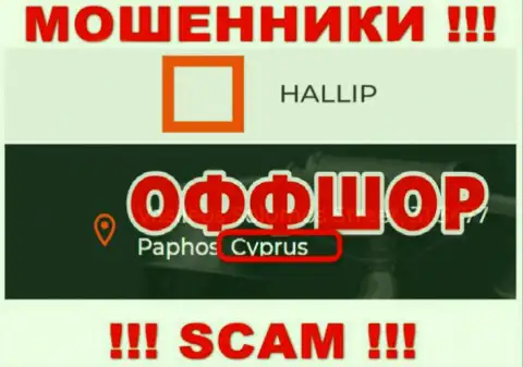 Лохотрон Халлип имеет регистрацию на территории - Кипр