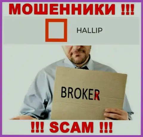 Тип деятельности мошенников Hallip - Broker, но помните это разводняк !