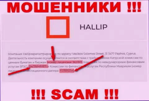 Не связывайтесь с мошенниками Hallip Com - наличием лицензионного документа, на web-ресурсе, заманивают клиентов