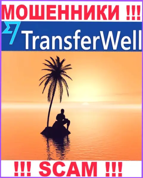 Юрисдикция TransferWell спрятана, в связи с чем перед перечислением накоплений нужно подумать 100 раз