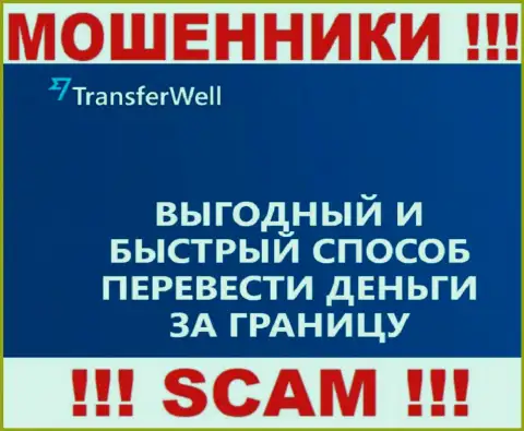 Не стоит верить, что деятельность TransferWell Net в сфере Платежная система легальна