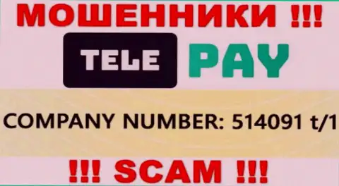 Рег. номер ТелеПэй, который представлен мошенниками у них на веб-портале: 514091 t/1