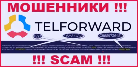 На ресурсе TelForward Net есть лицензионный документ, только вот это не отменяет их мошенническую суть