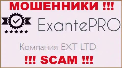 Воры ЭКСАНТЕ Про принадлежат юридическому лицу - EXT LTD