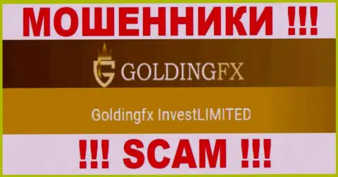 ГолдингФХИкс Инвест Лтд управляющее компанией Goldingfx InvestLIMITED