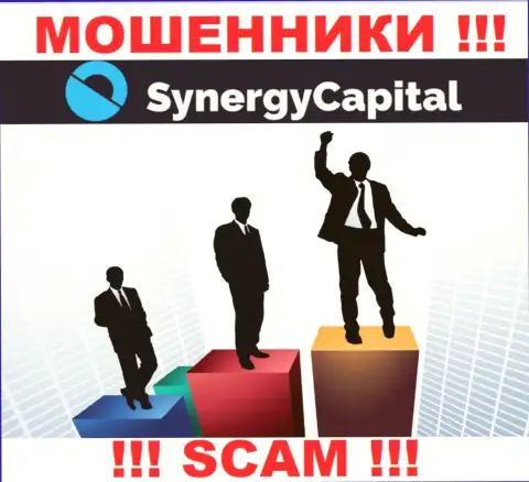 Synergy Capital предпочли оставаться в тени, информации о их руководстве Вы не отыщите