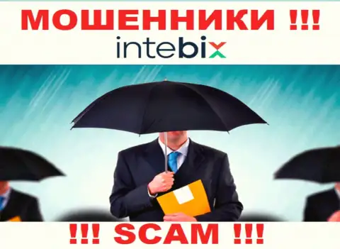 Руководство Intebix старательно скрыто от internet-пользователей