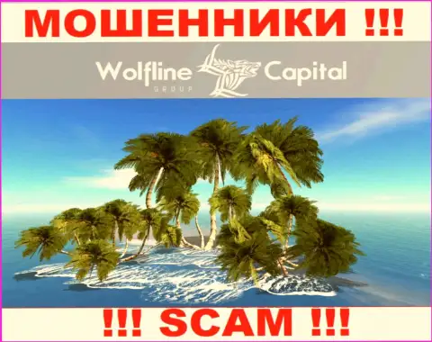 Разводилы WolflineCapital Com не публикуют достоверную информацию касательно их юрисдикции