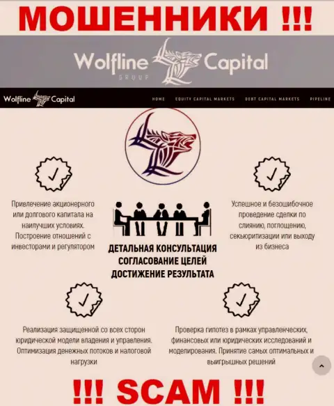 Не верьте, что сфера работы Wolfline Capital - Финансовый консалтинг законна - это надувательство