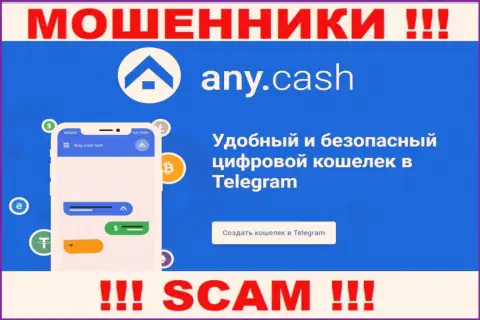 Any Cash - это интернет-кидалы, их деятельность - Криптовалютный кошелек, направлена на присваивание вкладов доверчивых клиентов